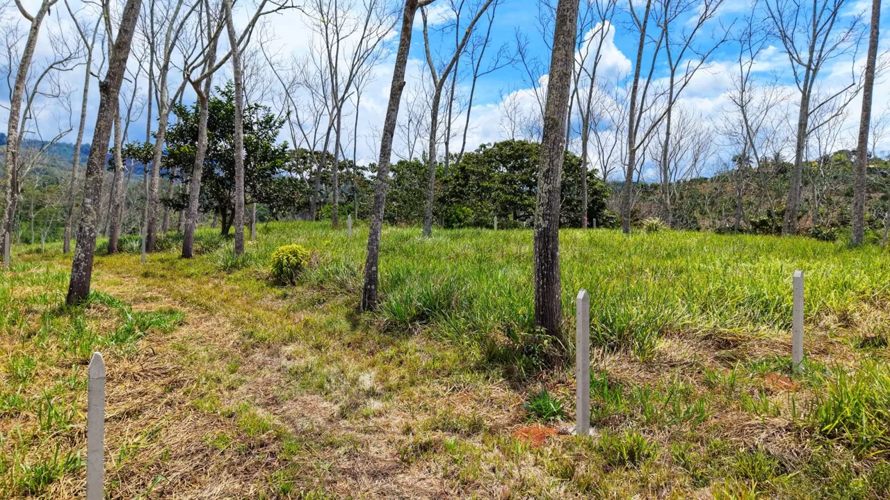 For Sale: One of 3 Premium Lots in Santa Rosa, Perez Zeledon – Don’t Miss Out — photo 3
