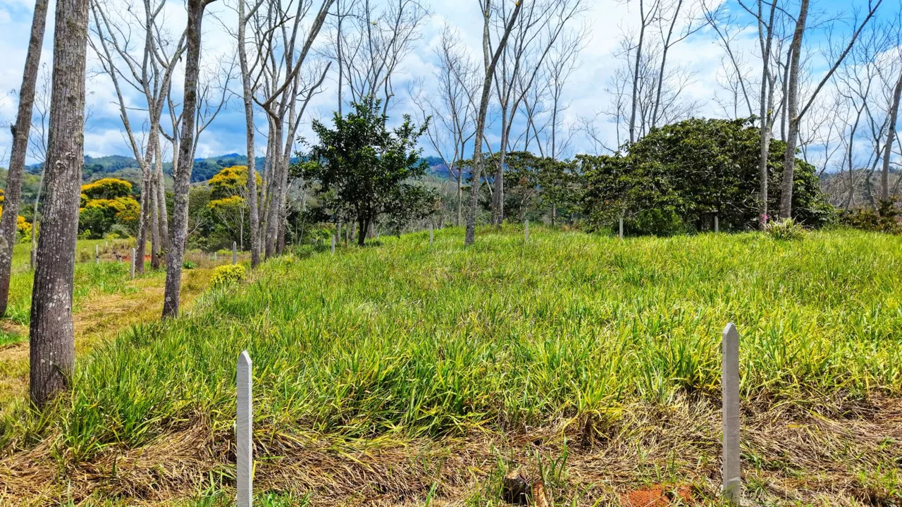 For Sale: One of 3 Premium Lots in Santa Rosa, Perez Zeledon – Don’t Miss Out — photo 4