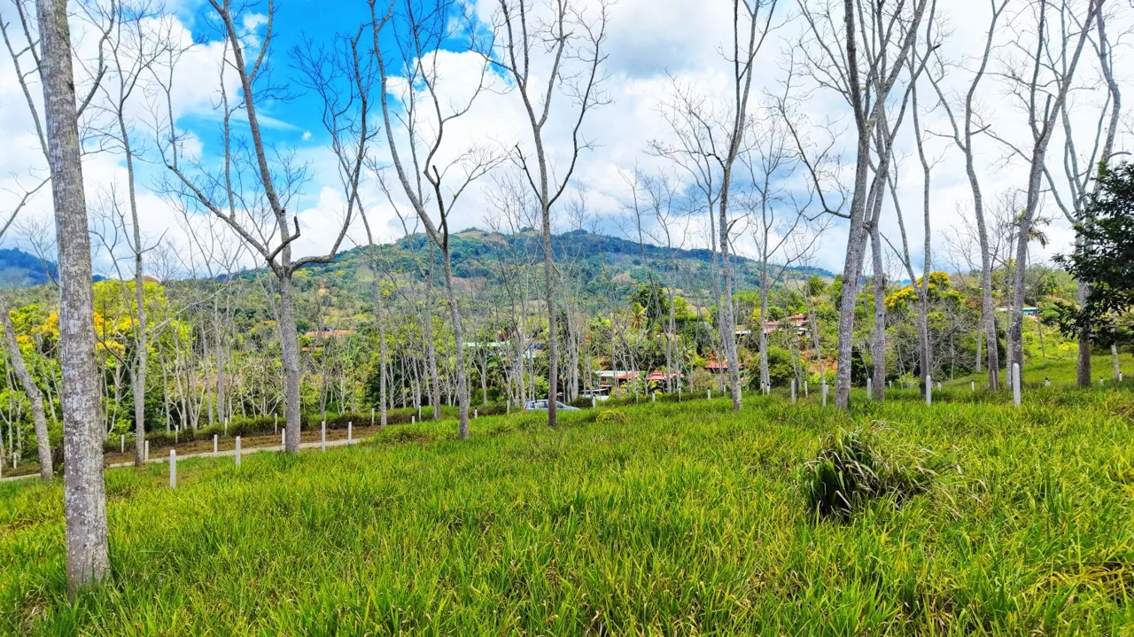 For Sale: One of 3 Premium Lots in Santa Rosa, Perez Zeledon – Don’t Miss Out — photo 5
