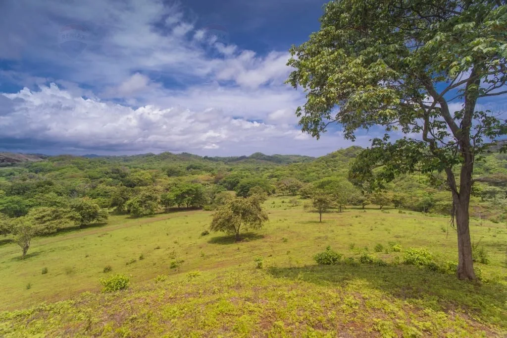 Finca Los Tres Leches