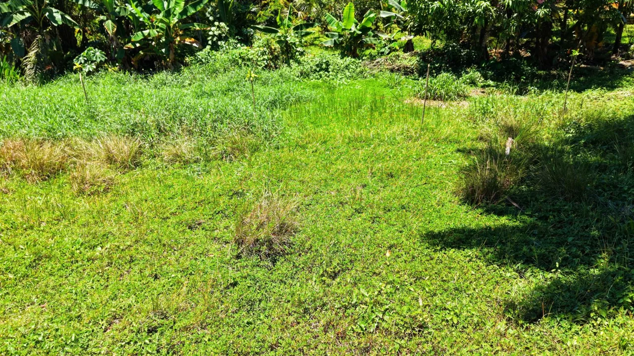 Great Residential Property Lot with high Aggregated Potential in Cajon. — photo 3