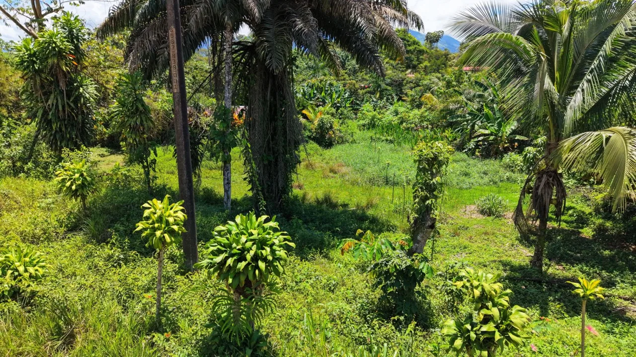 Great Residential Property Lot with high Aggregated Potential in Cajon. — photo 4