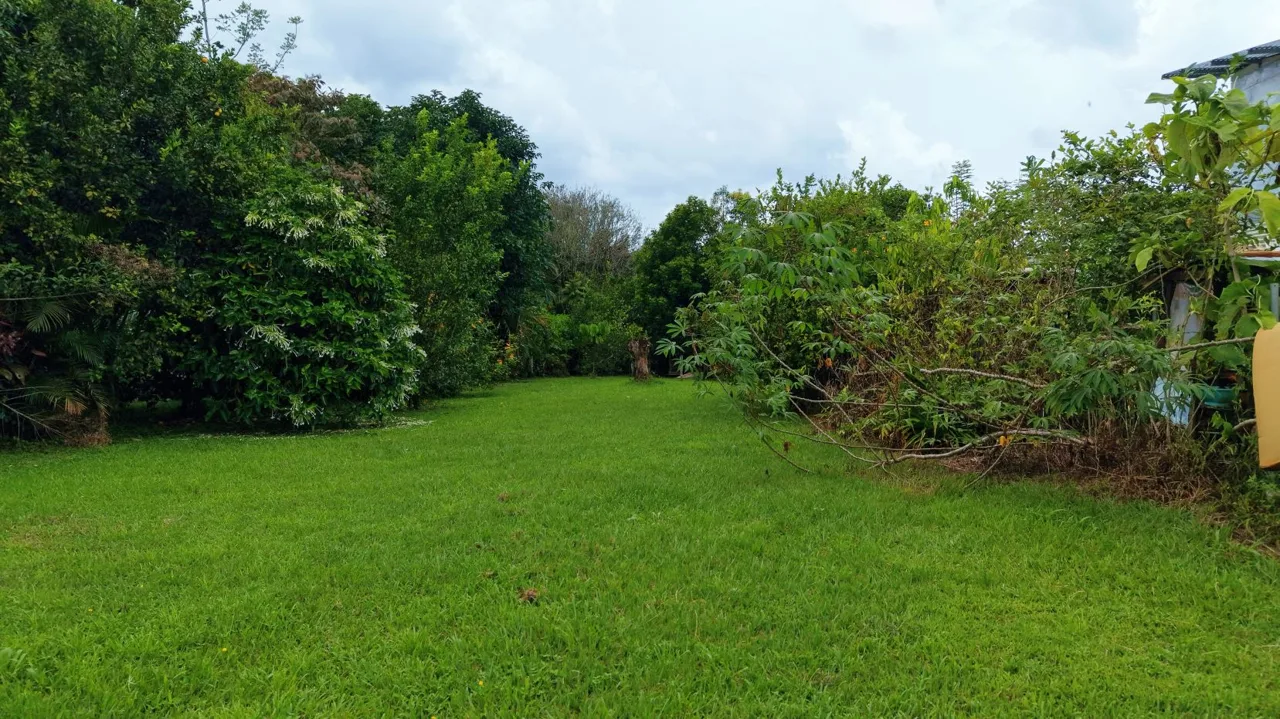 Flat 1,268 m² Lot for Sale in Miraflores, General Viejo, Pérez Zeledón, Costa Rica — photo 2