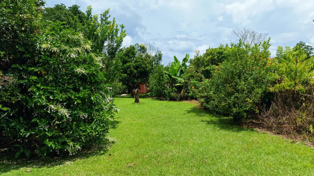 Flat 1,268 m² Lot for Sale in Miraflores, General Viejo, Pérez Zeledón, Costa Rica — photo 3