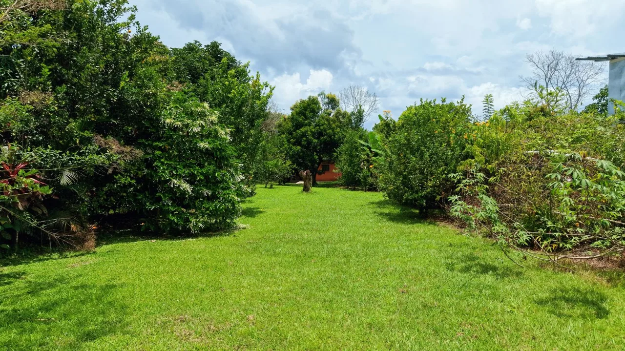 Flat 1,268 m² Lot for Sale in Miraflores, General Viejo, Pérez Zeledón, Costa Rica — photo 5