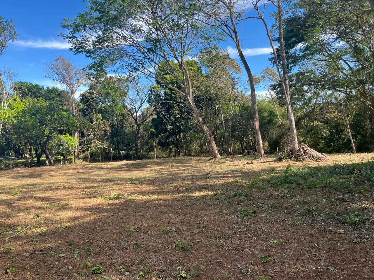 Beautiful Land for Sale in Ceiba, Orotina – High-Value Area