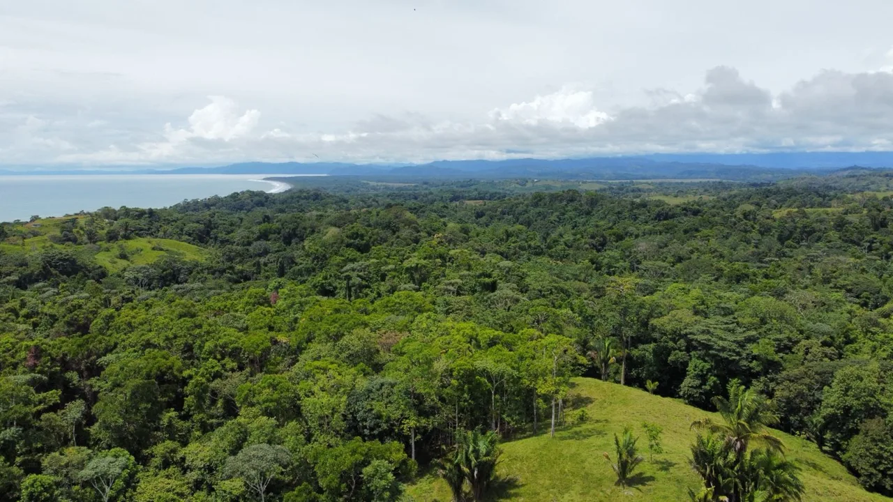 Large Oceanview Ranch for Sale in Pavones, Costa Rica – 5 minutes to Pilon Surf