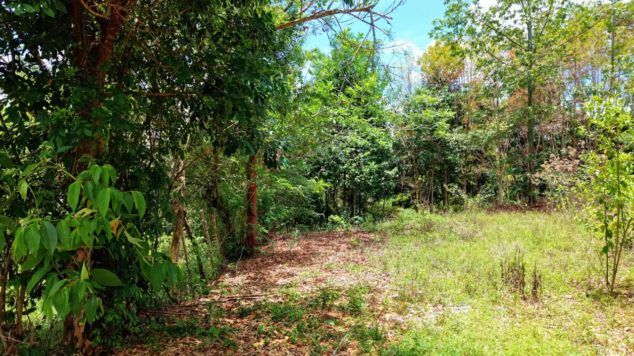 2,580 m² lot for sale in Pedregoso, Calle Calallo, Pérez Zeledón, Costa Rica, strategically located just 1 km from the main access. — photo 3