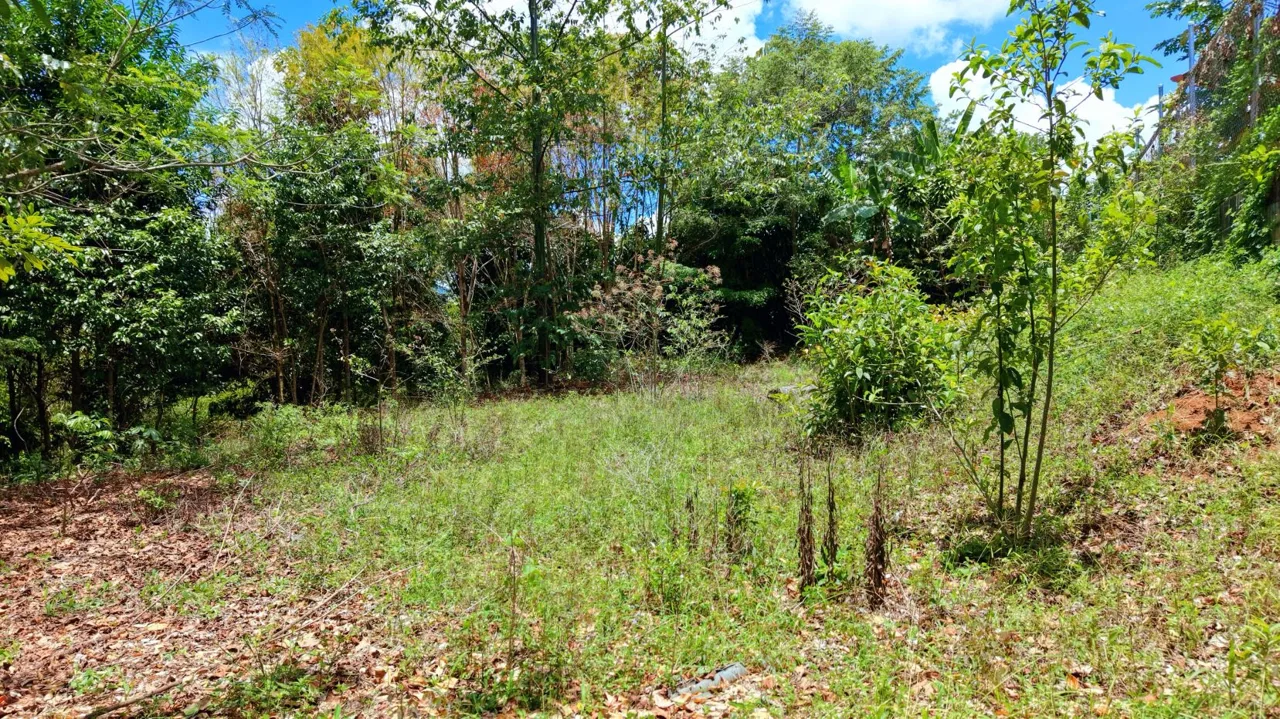 2,580 m² lot for sale in Pedregoso, Calle Calallo, Pérez Zeledón, Costa Rica, strategically located just 1 km from the main access. — photo 4