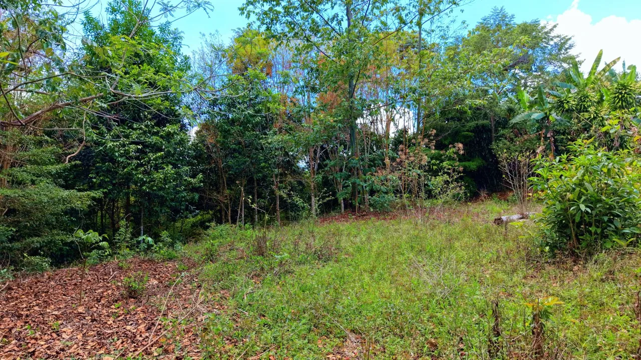 2,580 m² lot for sale in Pedregoso, Calle Calallo, Pérez Zeledón, Costa Rica, strategically located just 1 km from the main access. — photo 5