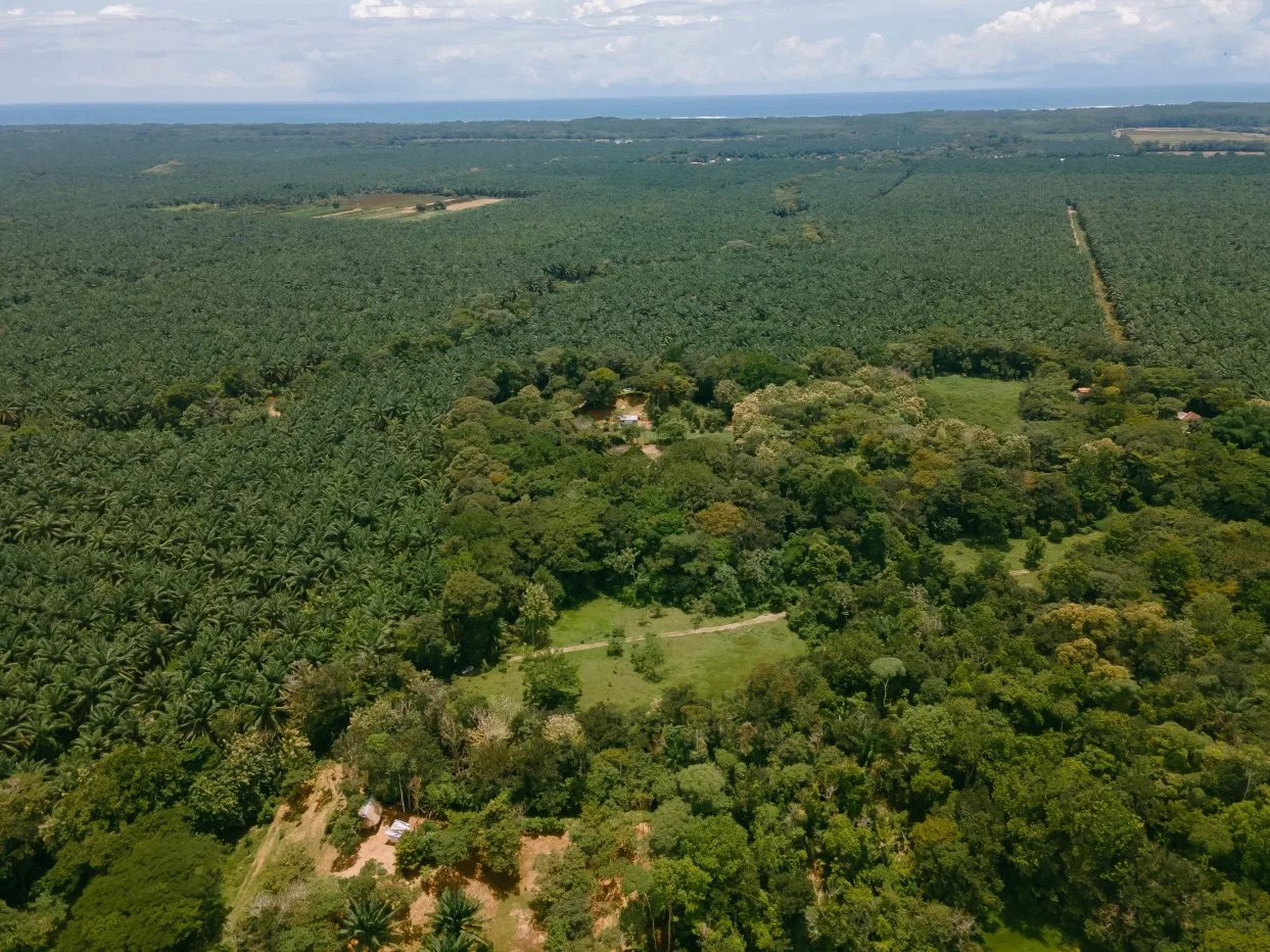 Own 2 Hectares of your peace of paradise only 17 minutes from Marina Pez Vela!