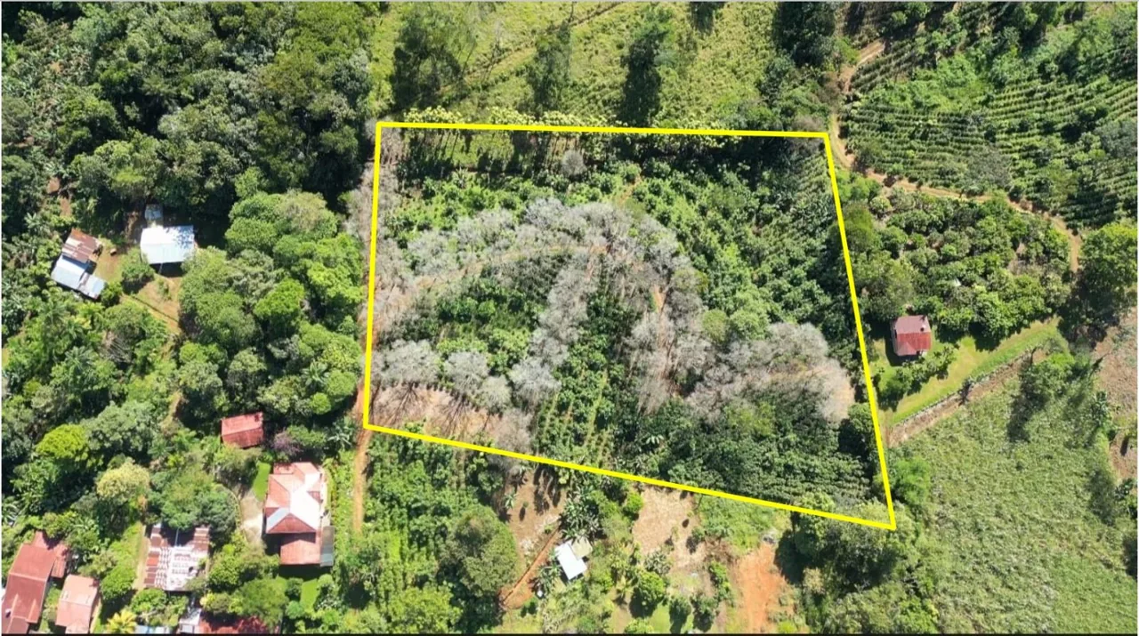 This Is The Lot ( 3 acres) For Sale In Santa Elena Del General, San Jose, You Are Looking For!!