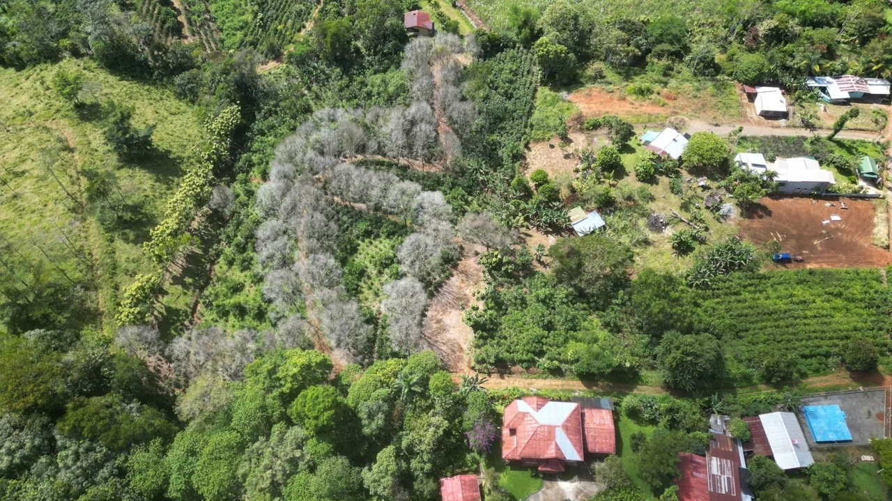 This Is The Lot ( 3 acres) For Sale In Santa Elena Del General, San Jose, You Are Looking For!! — photo 2