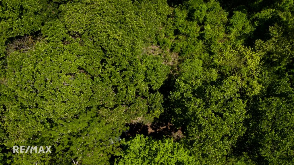 RESERVA CARRILLO