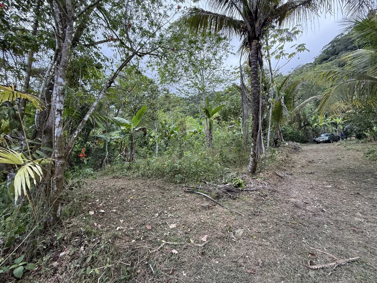 Jungle Lot with 3+ Building Sites, Legal Water, Electricity on Public Road with Big Valley &amp; Mountain Views near San Josecito Costa Rica
