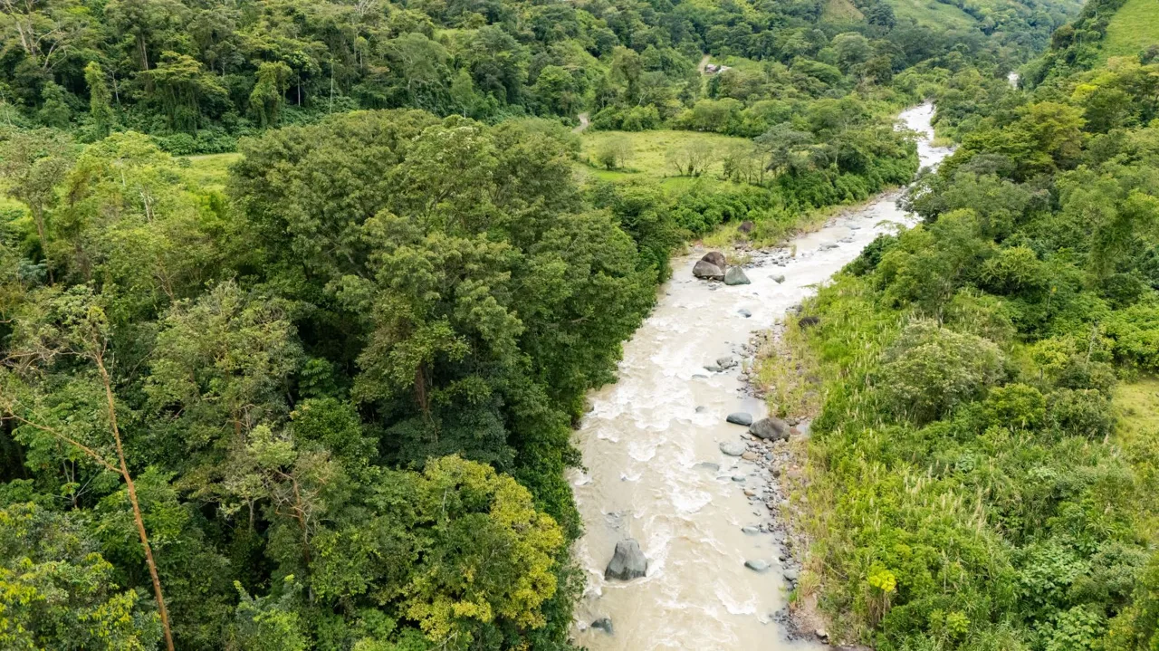 Río Nuevo de Savegre, A Natural Paradise in the Heart of Costa Rica’s Southern Pacific — photo 5