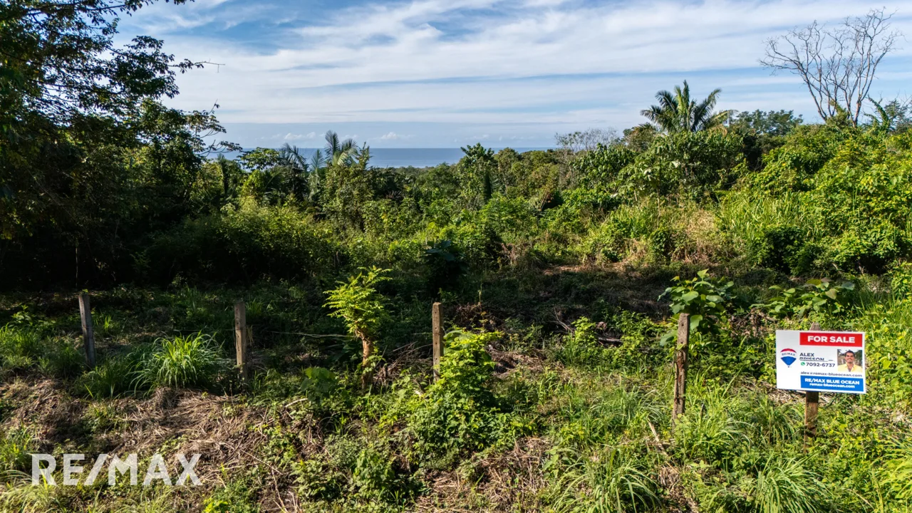 Ocean View Lot – Ostional Beach, Nosara