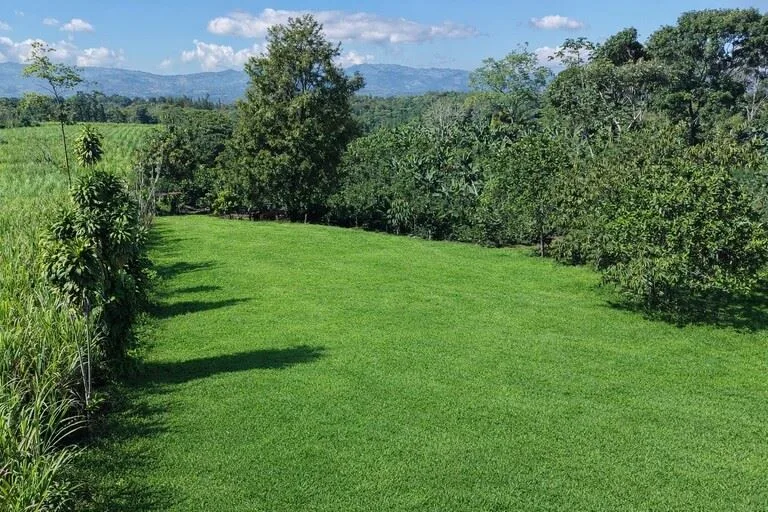 Beautiful Property For Sale In The Heart Of Santa Elena With High Development Potential — photo 3