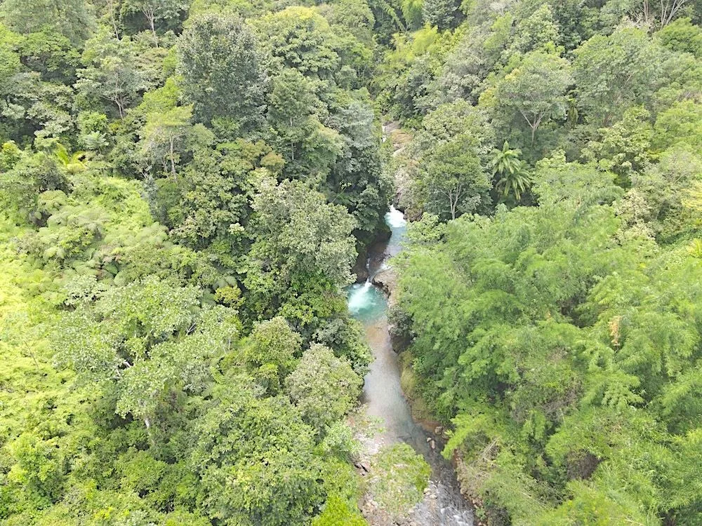 Spectacular 3.5-Hectare Riverfront Estate in Costa Rica – Endless Possibilities!