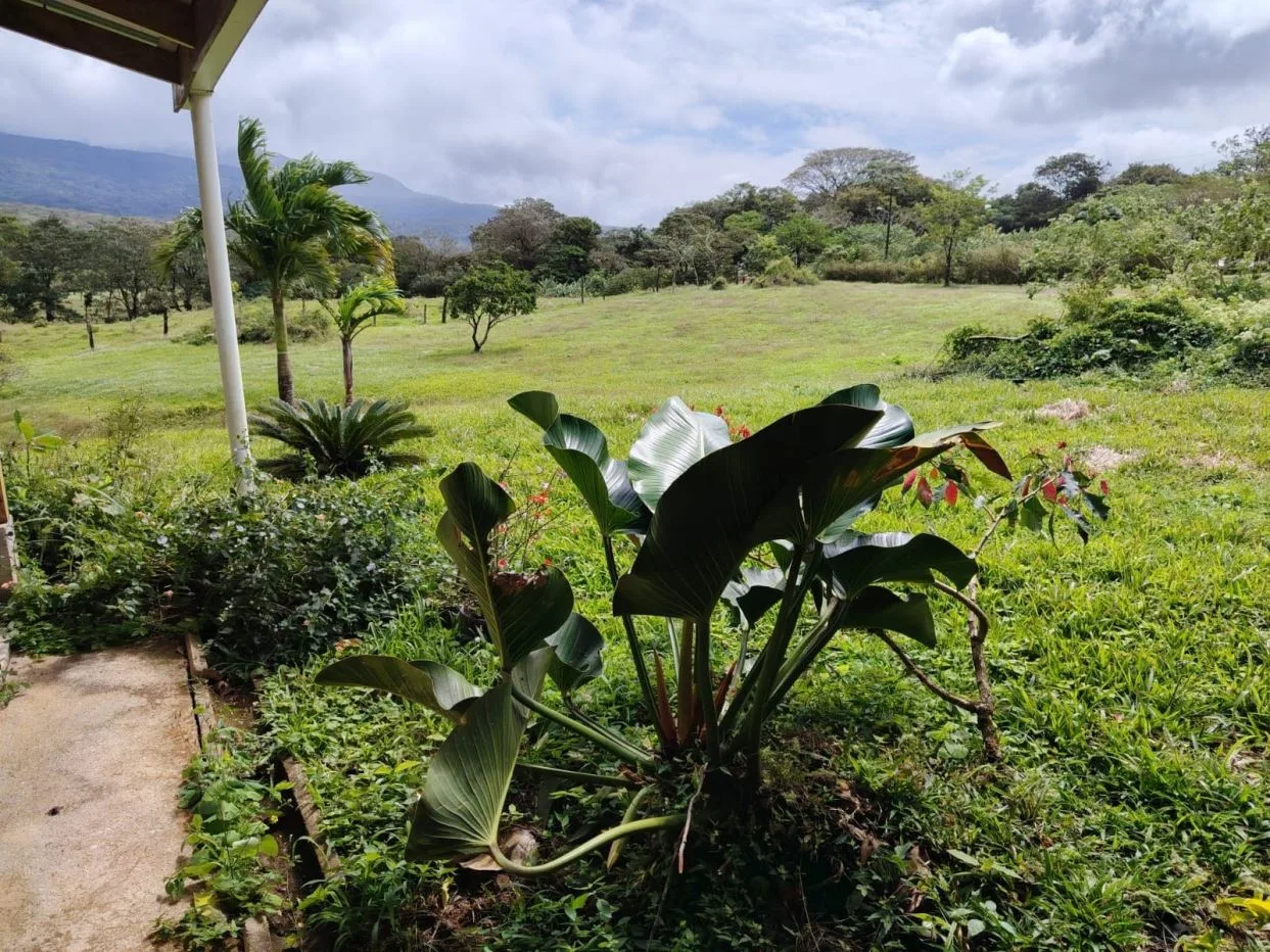 15,000 m² Property for Sale Near Tenorio Volcano, Costa Rica – Exceptional Investment Opportunity For sale in Costa Rica
