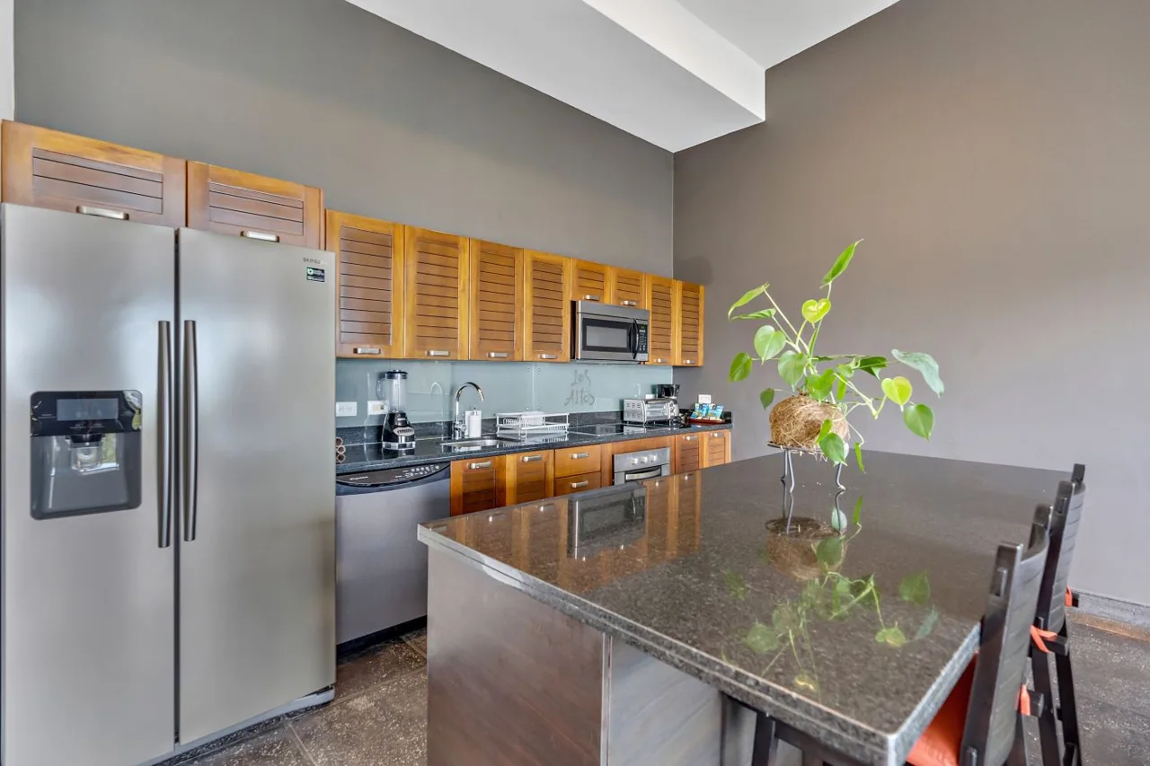 Los Altos - Rainforest 23A