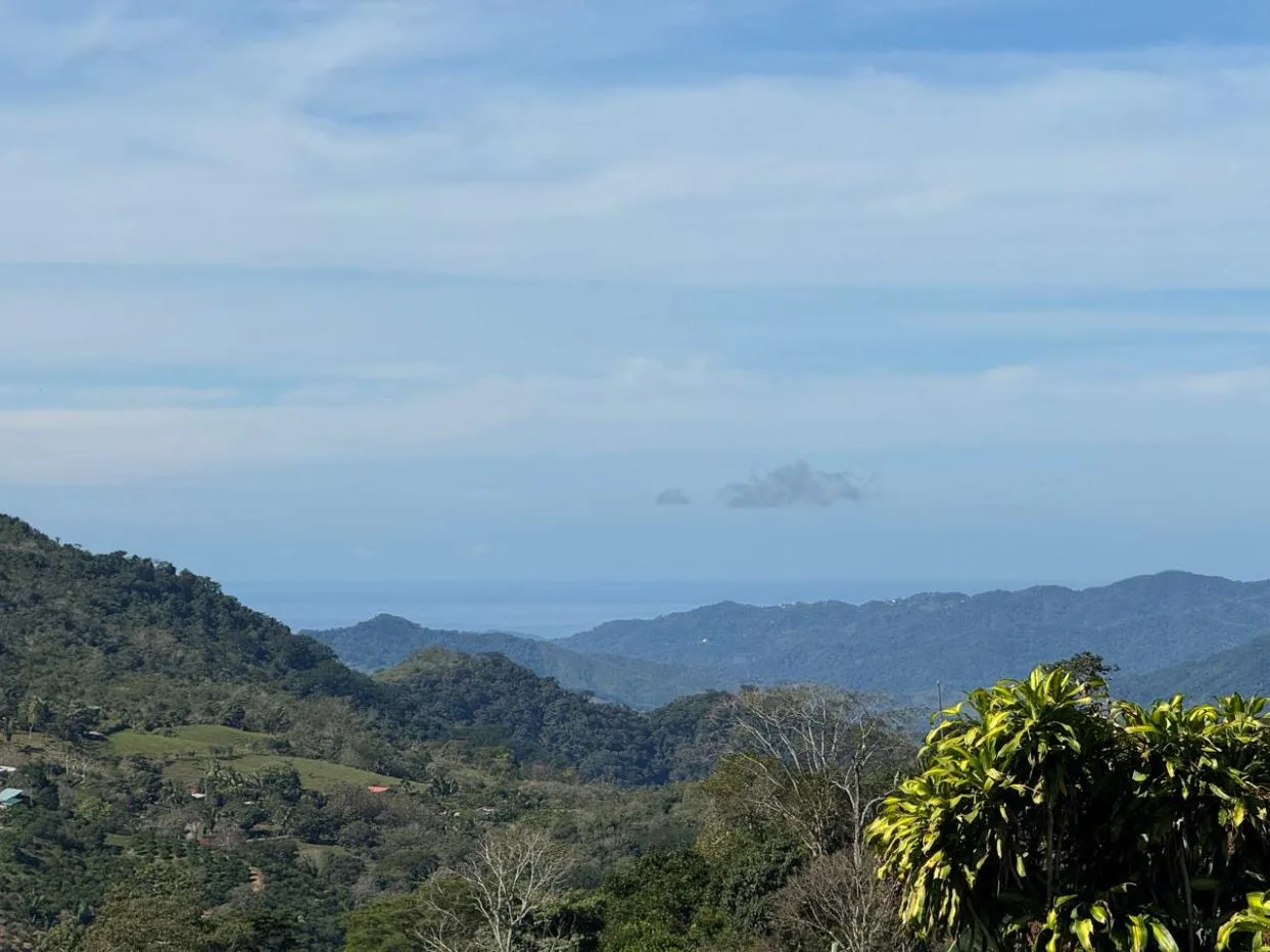 Mountain Farm with Oranges, Coffee &amp; Partial Ocean Views – Nicoya Peninsula