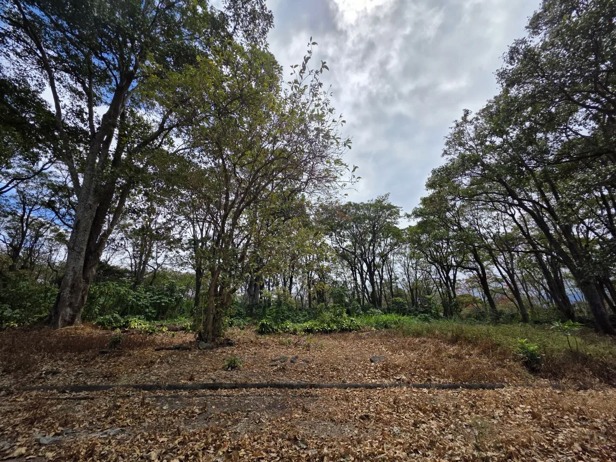 Lot for Sale in Private Development in San Rafael, Heredia - 75,347 ft² (1.73 acres) | Tranquility, Nature and Convenience