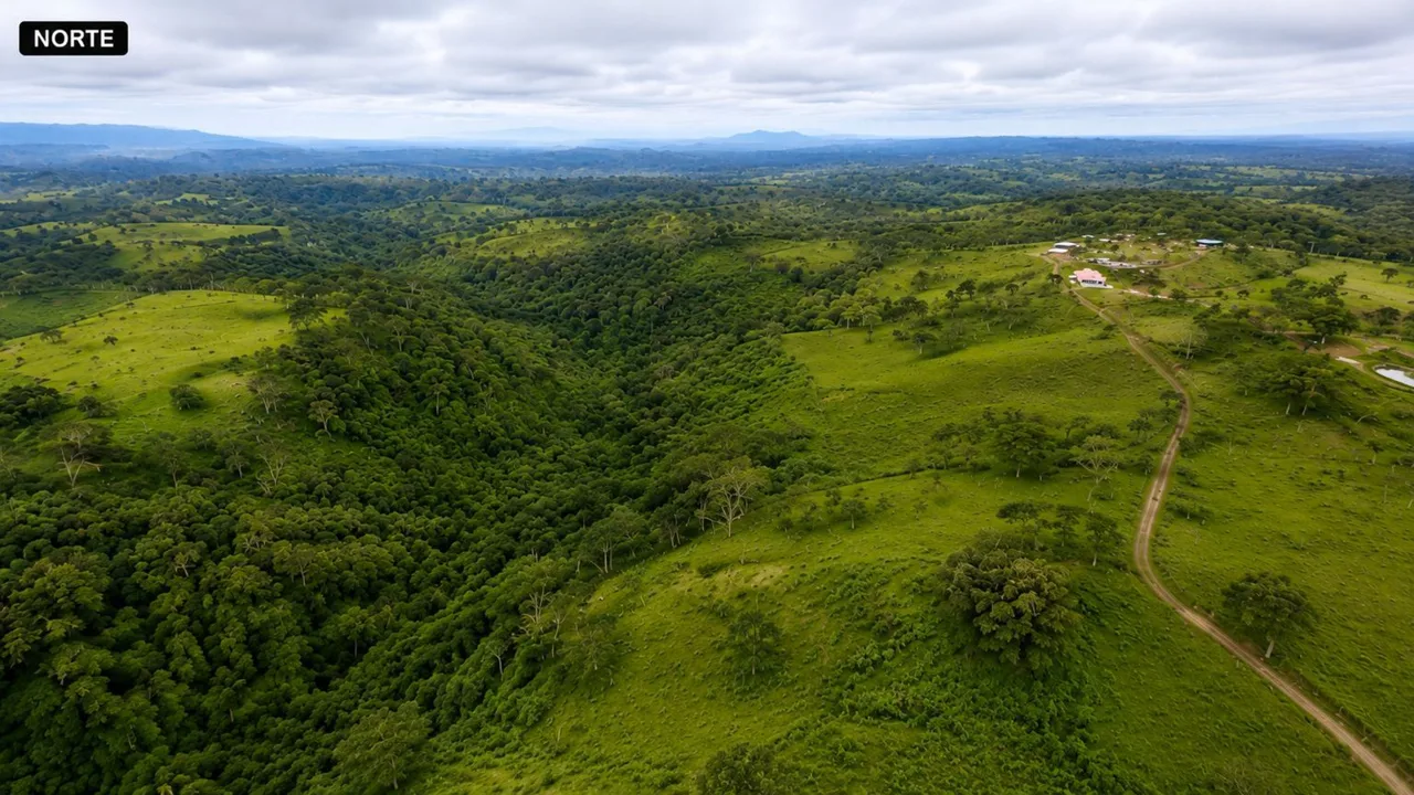 PRODUCTIVE FARM FOR SALE IN SANTA CECILIA, LA CRUZ – GUANACASTE