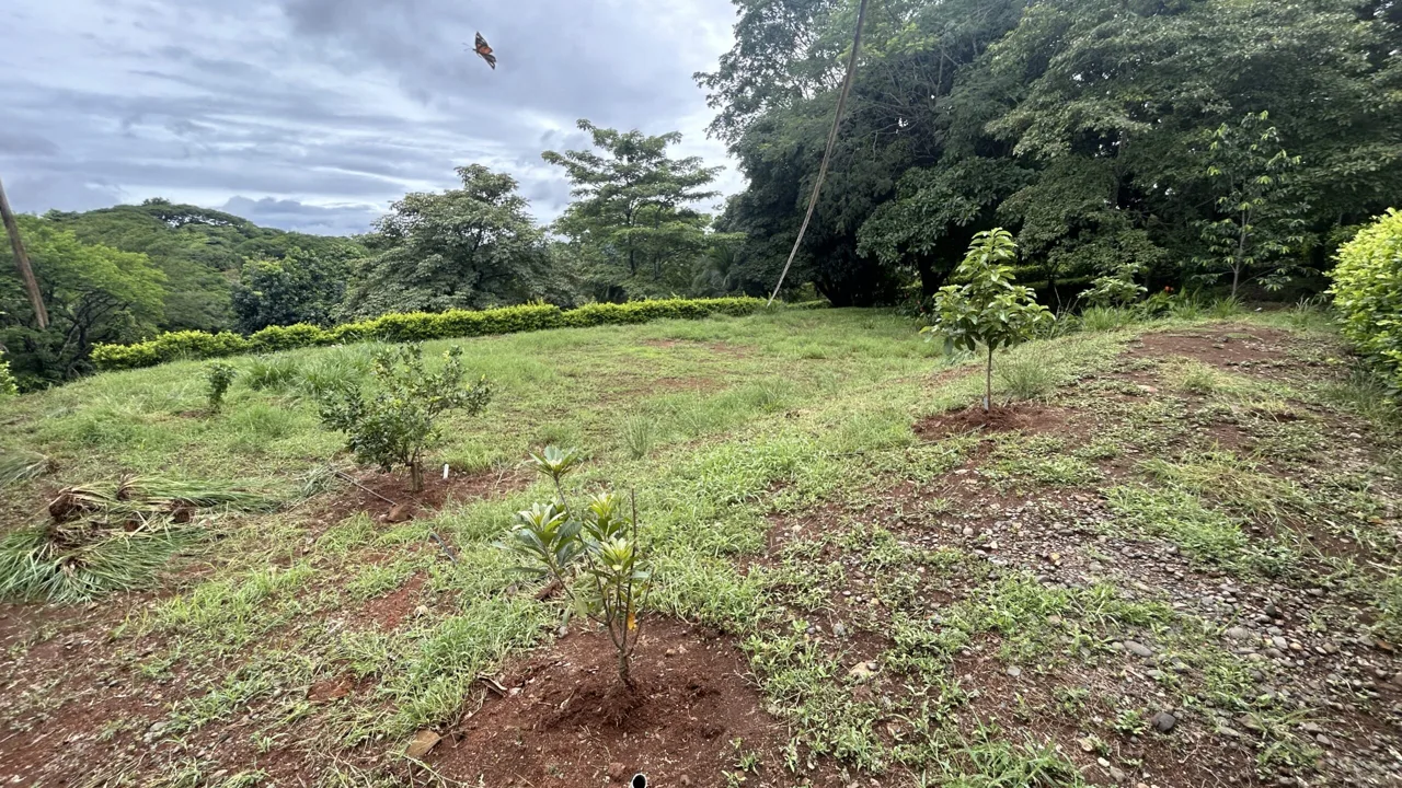 Stunning Lot in Exclusive Gated Community