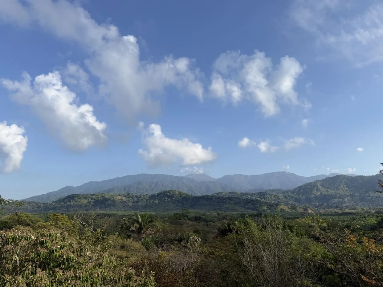 42ha Private Estate with River + Flat Land + Build Potential