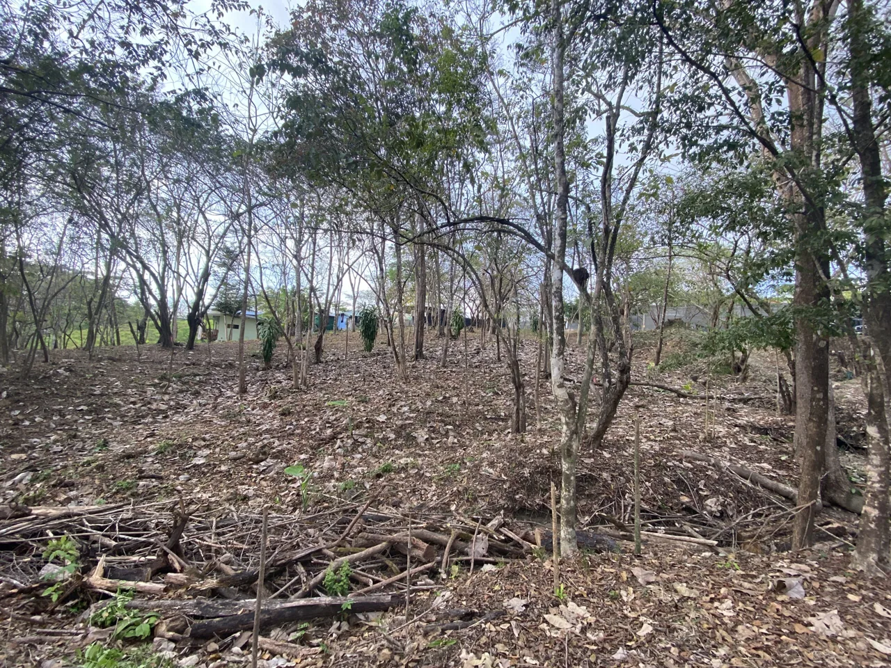 Santiago Gorgeous Flat Lot, just minutes to Hermosa and Manzanillo beach!