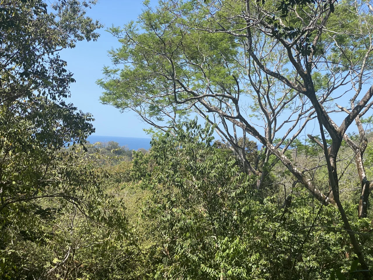 Partial ocean view centrally located land