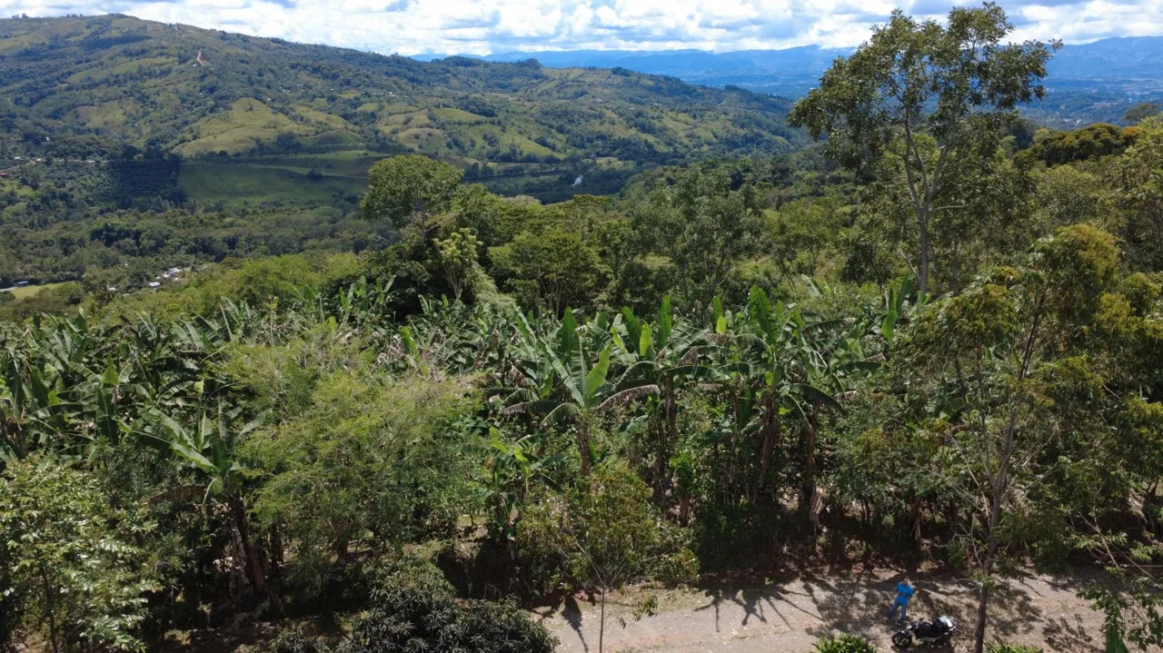 Land For Sale In La Fila, Rivas - Coffee And Banana Farm Near Chirripó — photo 3