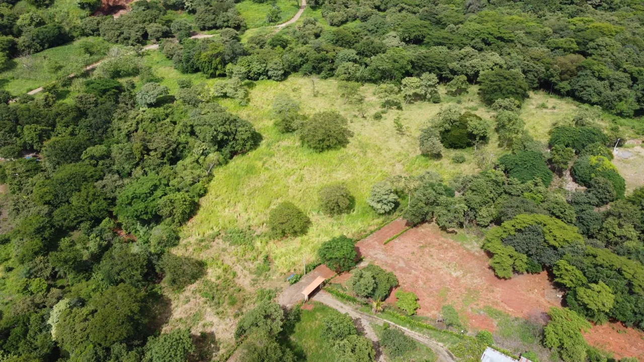 Quinta del Llano de Cañas – Nature, Investment, and Development in Cañas, Guanacaste
