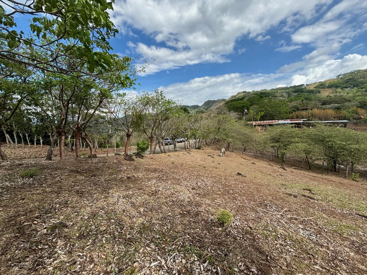 Picturesque lot with views of the Pacific and services available — photo 5