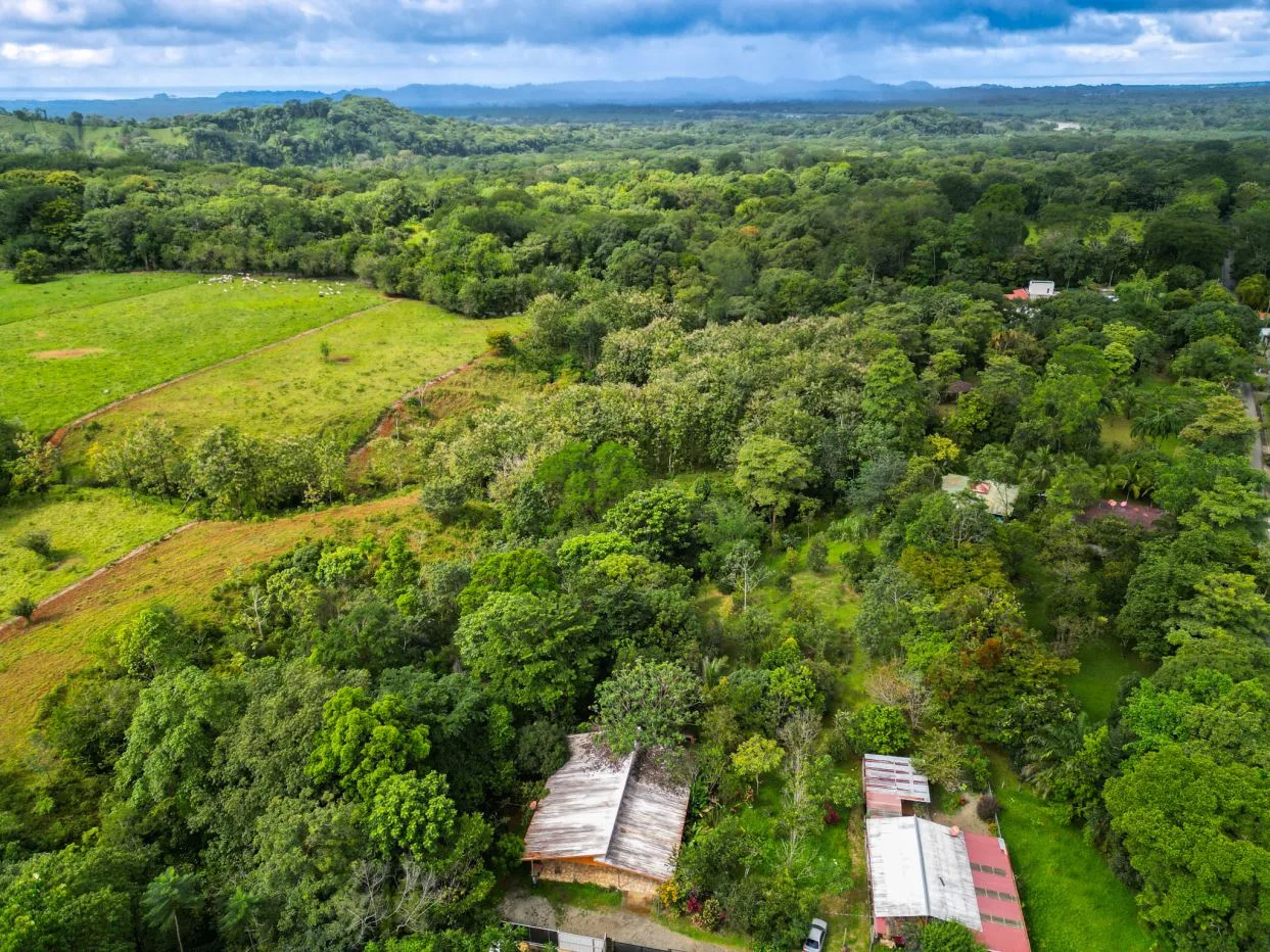 Traditional Home with a Gigantic 8200m2 Garden, Flowing River&amp; Over 40 Tropical Fruit Trees near Manuel Antonio