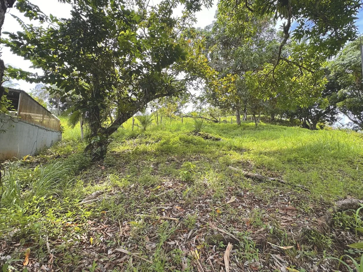 Affordable Lots for Sale in Quepos – Great Location Near Marina Pez Vela &amp; Manuel Antonio