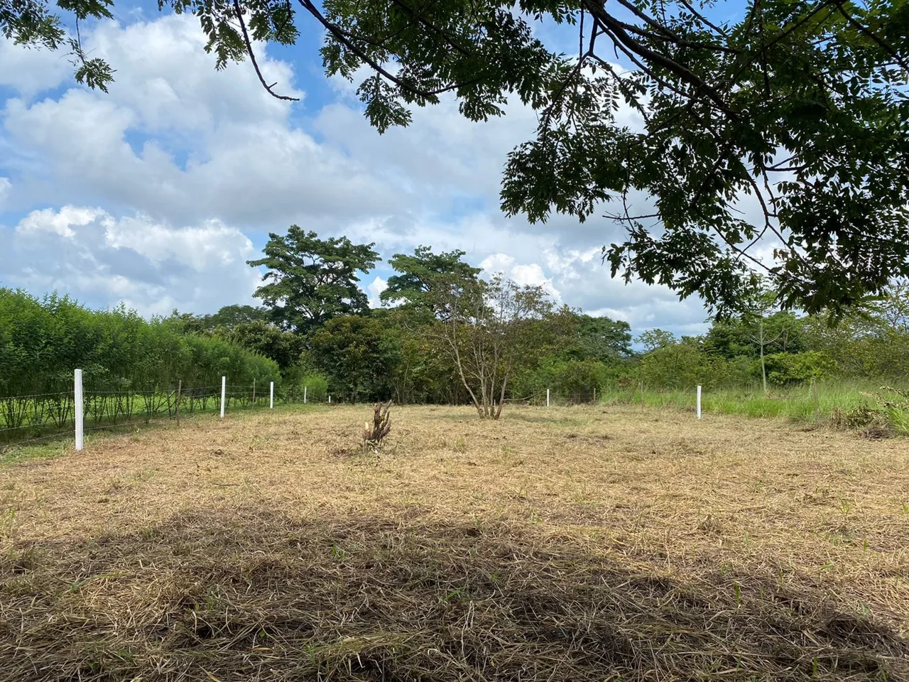 PERFECT COMMERCIAL PROPERTY FOR YOUR NEXT INVESTMENT – DIRECT ACCESS TO ROUTE 27, ONLY 45 MINUTES FROM SAN JOSE
