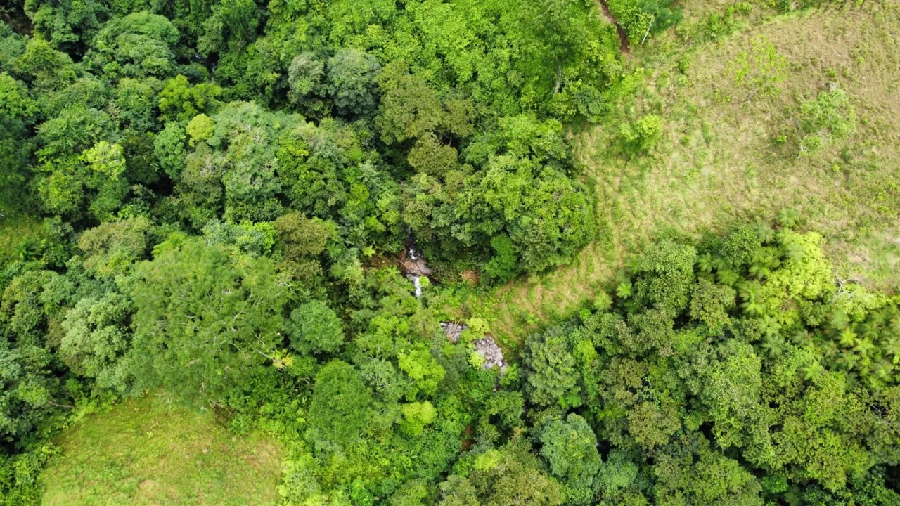 For Sale - Unique Property With Springs, Waterfalls &amp; Ancient Mountains — photo 3