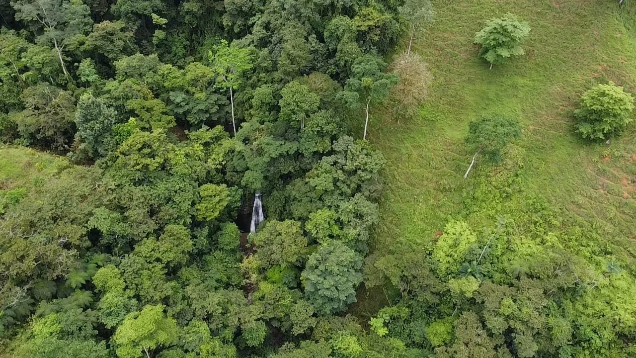 For Sale - Unique Property With Springs, Waterfalls &amp; Ancient Mountains — photo 4