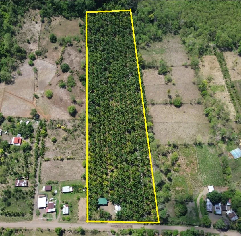 Farm for community development.