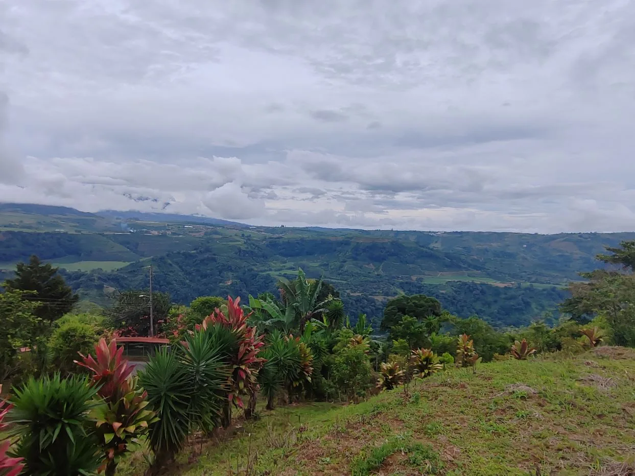 Lot with two plains, suitable for building a cabin or house, with green areas and beautiful views of the mountains.