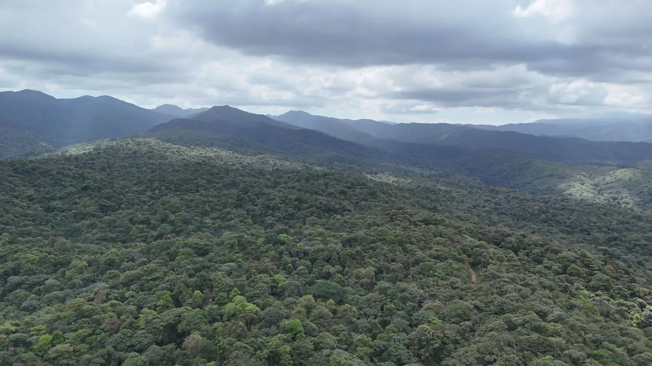 757 Hectares of Cloud Forest for Sale in Costa Rica – Ideal for Carbon Credits, Conservation and Wellness Development