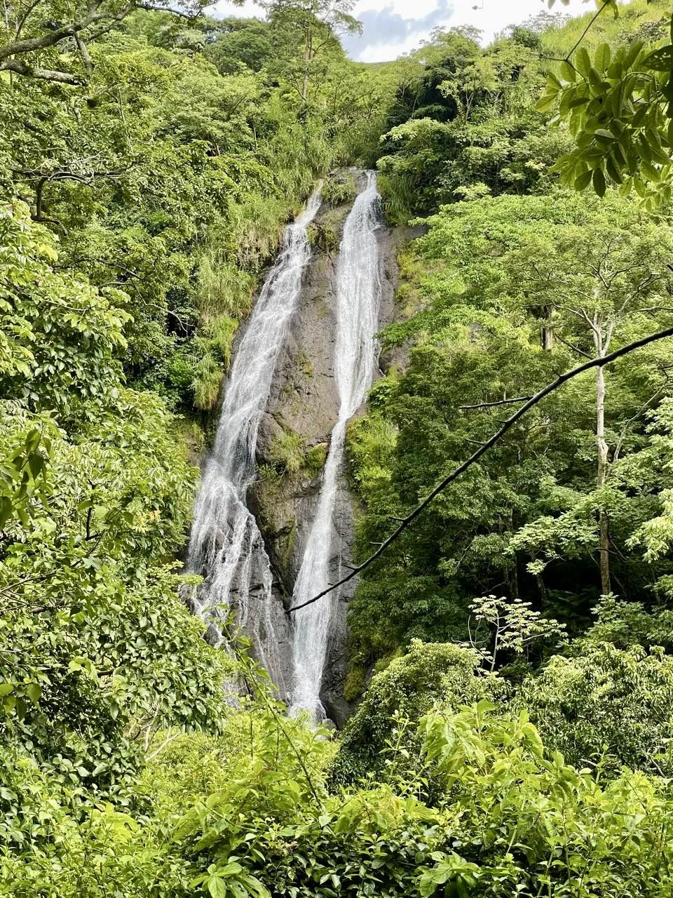 Waterfalls farm for sale