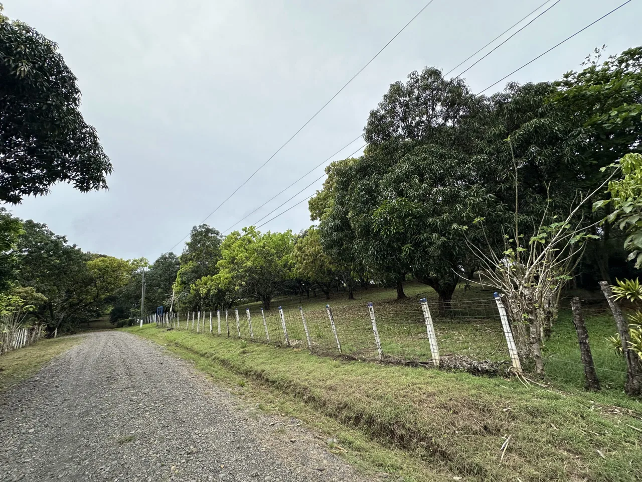 3 Country Estates for Sale in Turrubares, Laguna: Nature, Accessibility, and Investment Potential