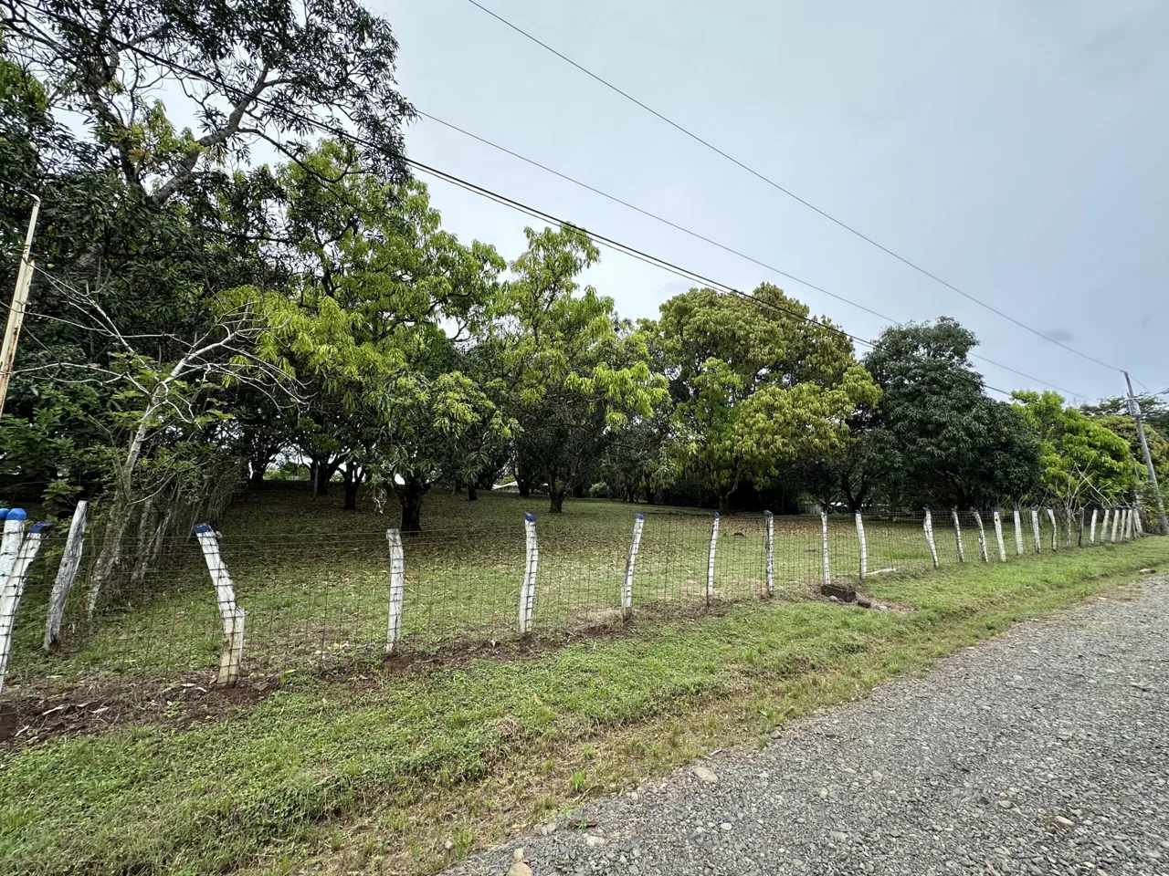 3 Country Estates for Sale in Turrubares, Laguna: Nature, Accessibility, and Investment Potential — photo 2