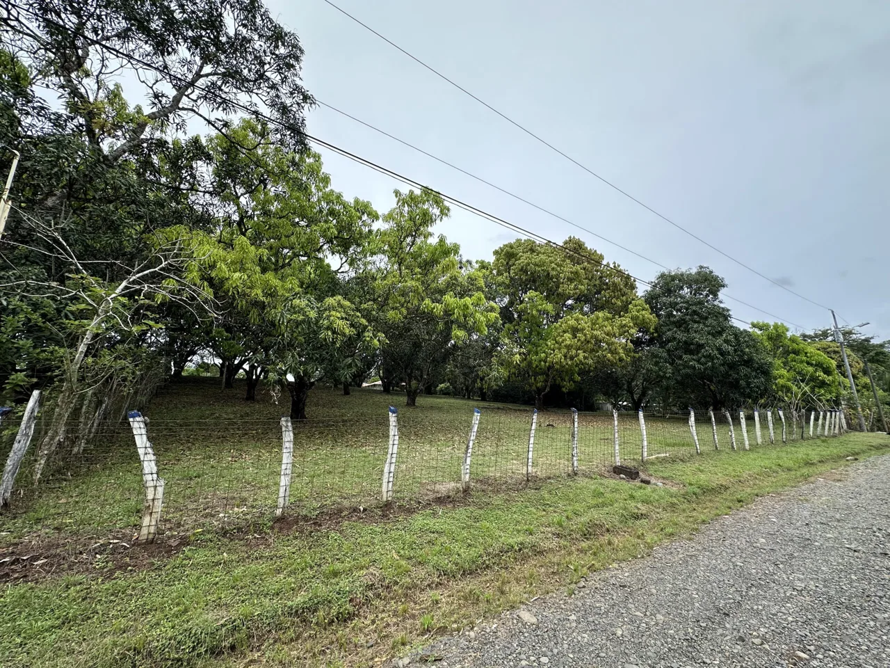 3 Country Estates for Sale in Turrubares, Laguna: Nature, Accessibility, and Investment Potential — photo 3