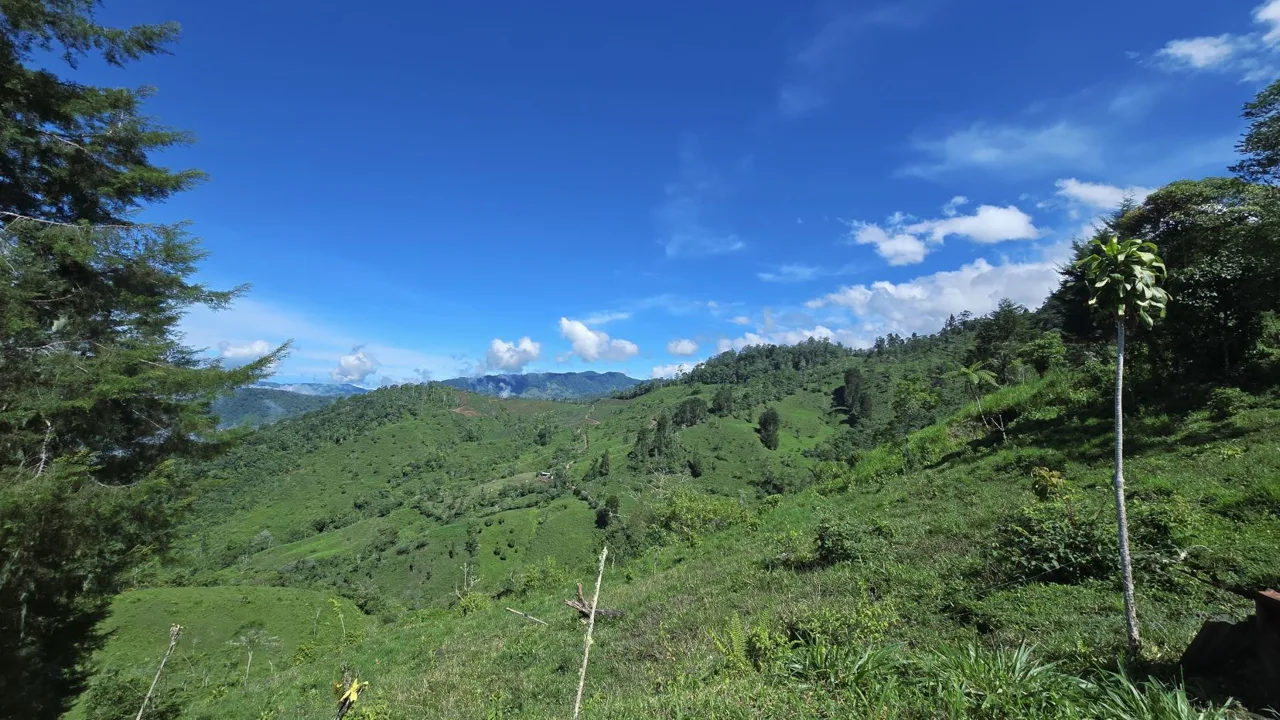High-Altitude Cabin For Sale - Stunning Views &amp; Immersive Great Nature Above 1,500 Masl — photo 2