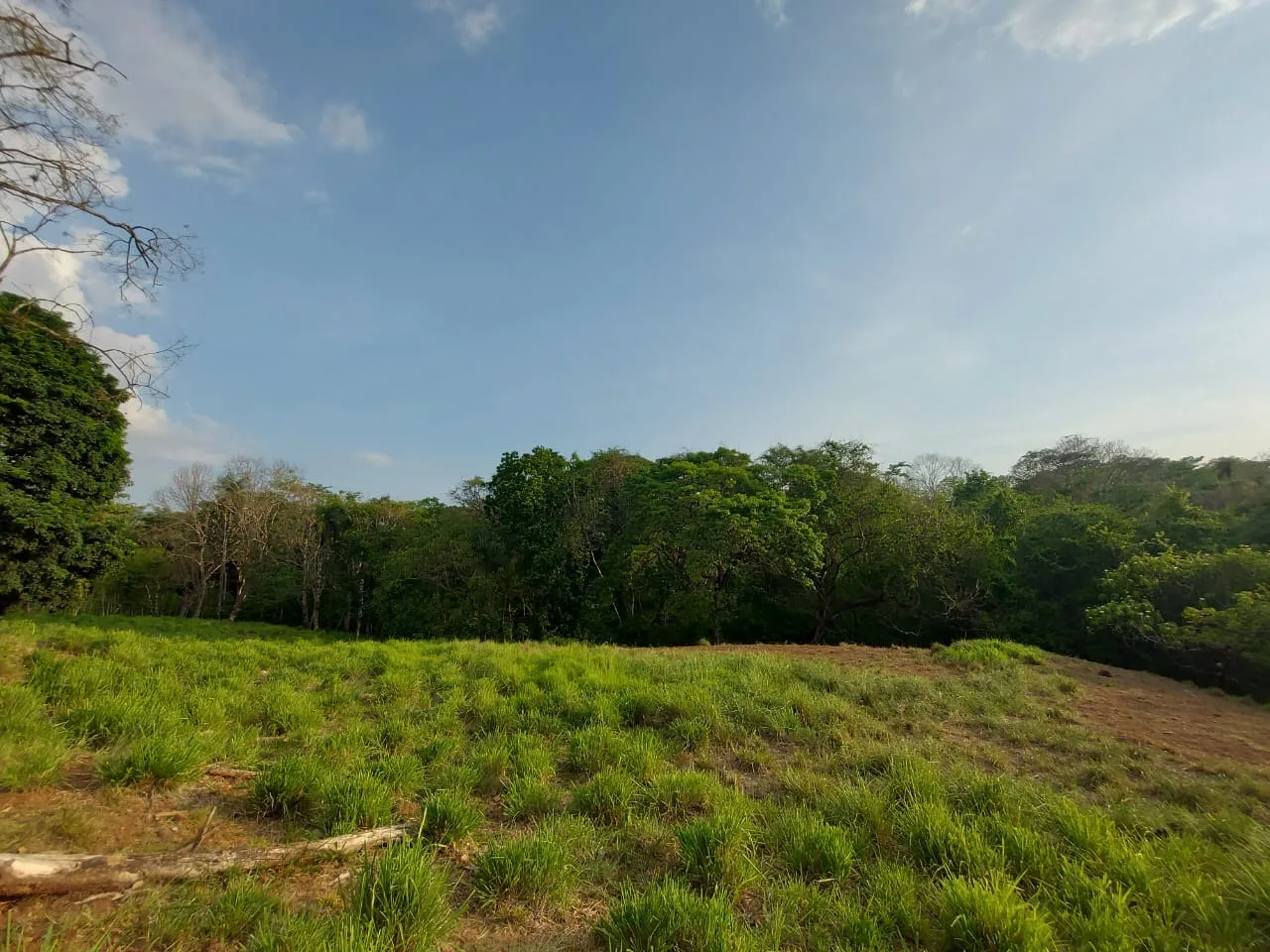 Lot | Turrubares
