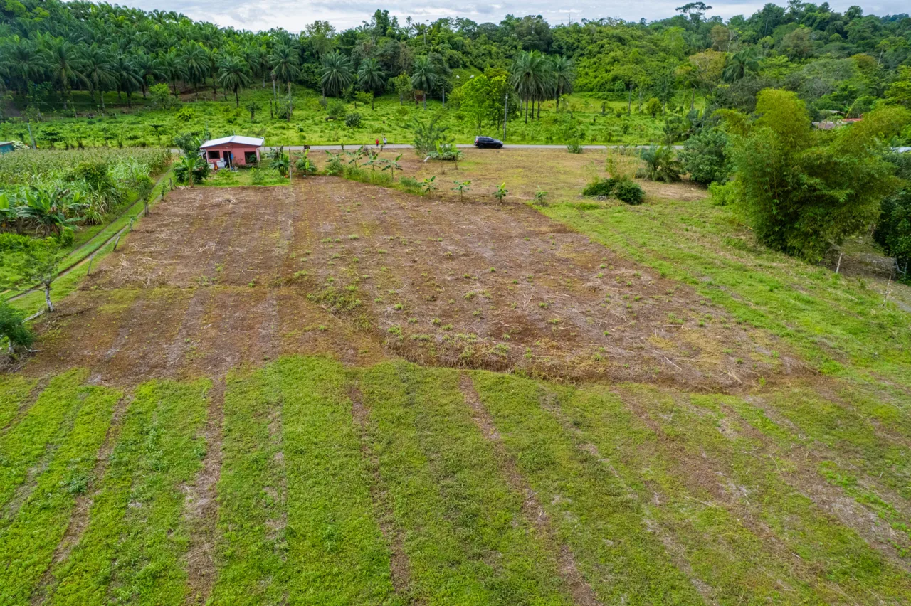 Land for Sale Palo Seco Puerto Jimenez Costa Rica | 6,557 m² Titled Lot